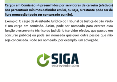 Funções de confiança x cargo em comissão