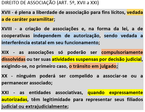Direito de associação (art. 5º, XVII a XXI) 